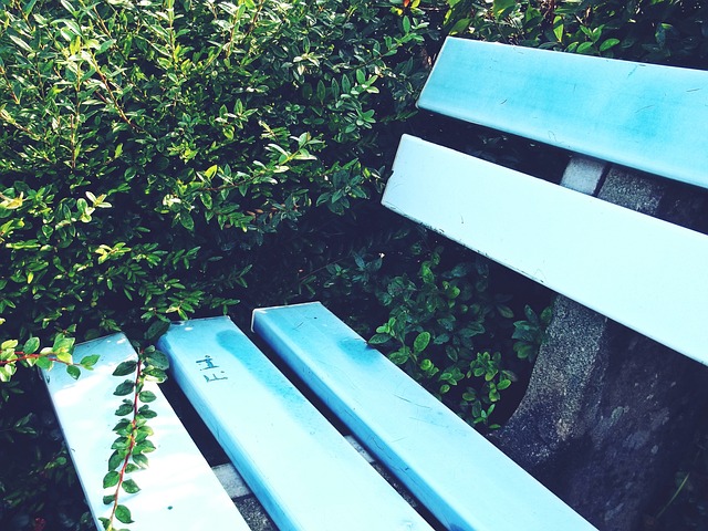 全民参与 全民参与