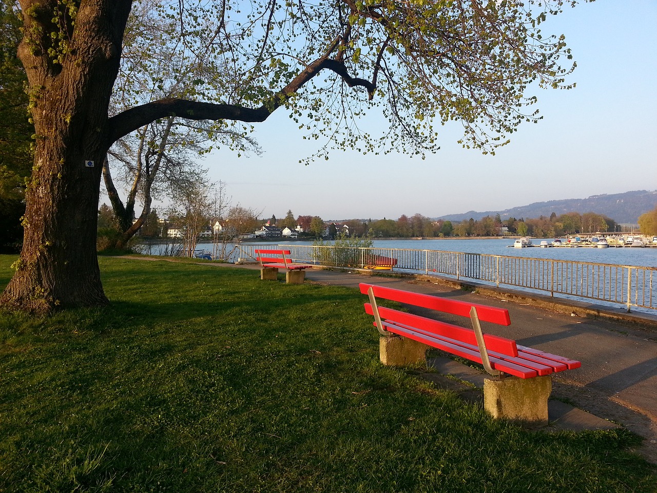 和解决问题 和解决问题