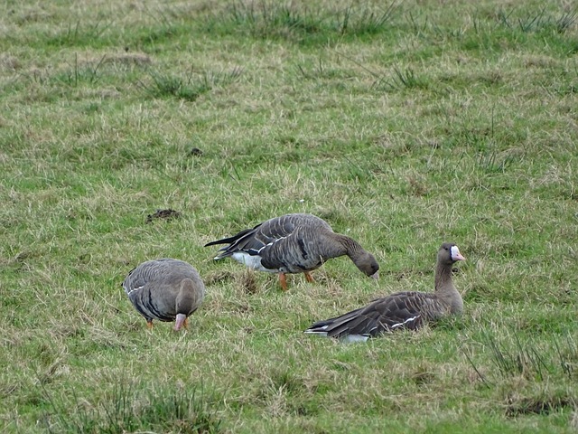 令人惊喜的 令人惊喜的