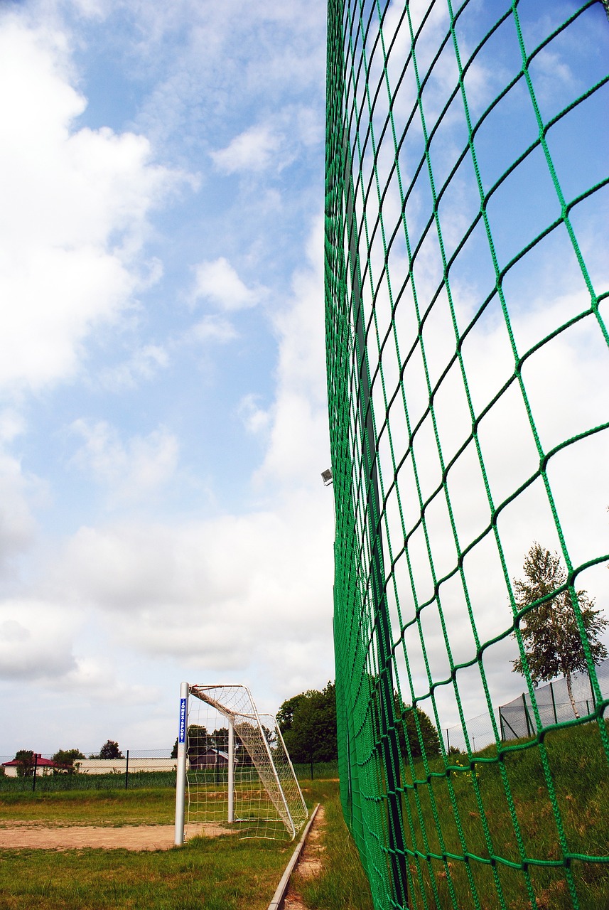 还有一个展 还有一个展